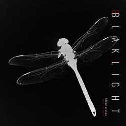 BlakLight - Blind Vision (Dominatrix Remix) (2024)