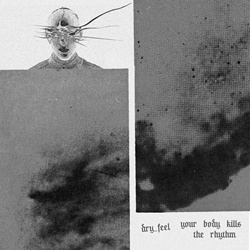 Dry_Feel - Your Body Kills The Rhythm (2024)