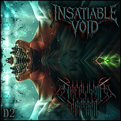 Insatiable Void - Nefelibata Descent - Disk Two (2024)