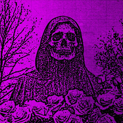 Petrified Entity - Insane (2024)