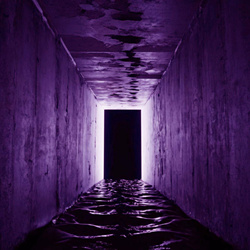 Petrified Entity - Liminal Spaces (Single) (2024)