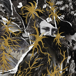 Sanctuary State - Pariah (2024)