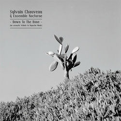 Sylvain Chauveau & Ensemble Nocturne - Down to the Bone (An Acoustic Tribute to Depeche Mode) (2015)