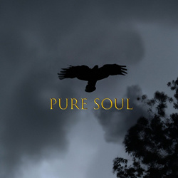 TEVALIK - Pure Soul (Single) (2024)