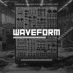 VA - WAVEFORM vol.1 (2024)