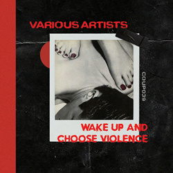 VA - Wake Up and Choose Violence (2024)