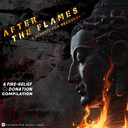 VA - After the Flames: A Benefit for Recovery - A Donation Compilation (2025)