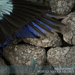 Misfortunes - Voices Never Heard (2025)