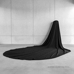 Noire Antidote - aversion cluster (ESA Remix) (2025)