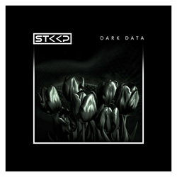 STKKP - Dark Data (2025)