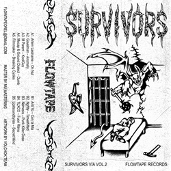 VA - Survivors vol.2 (2025)